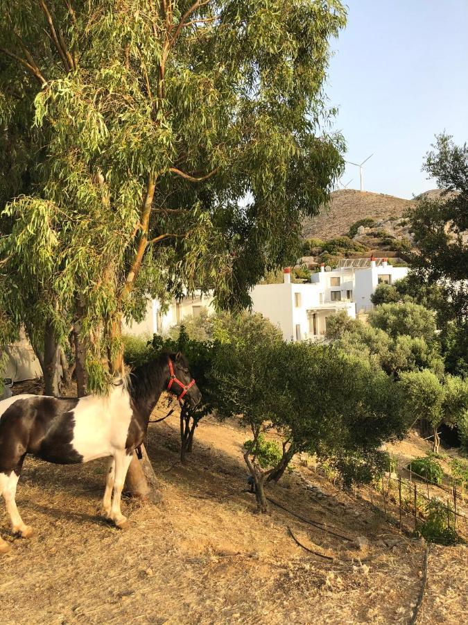 Mourtzanakis Residence - Traditional Eco Hotel In Akhládha المظهر الخارجي الصورة